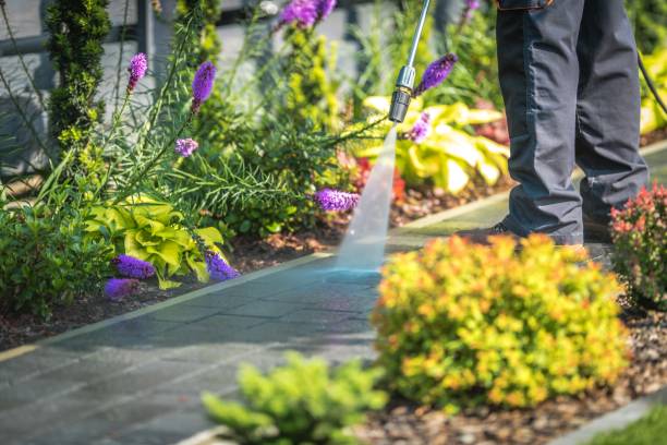 Best Driveway Pressure Washing  in Plantation, FL